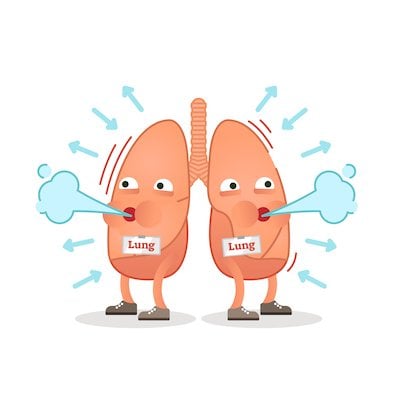 image of two cartoon lungs breathing