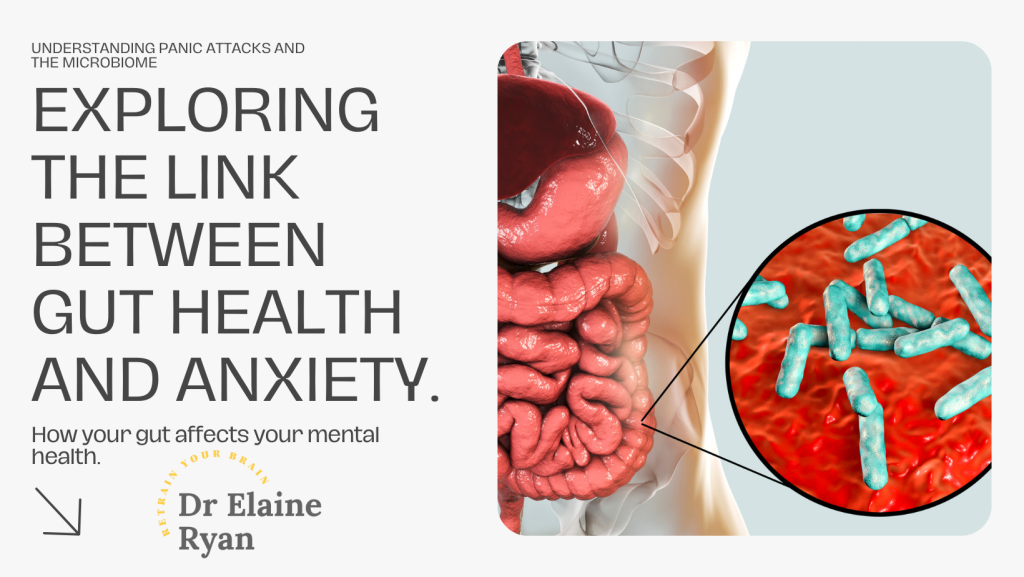 image of gut with word link between gut health and panic with dr Elaine Ryan logo