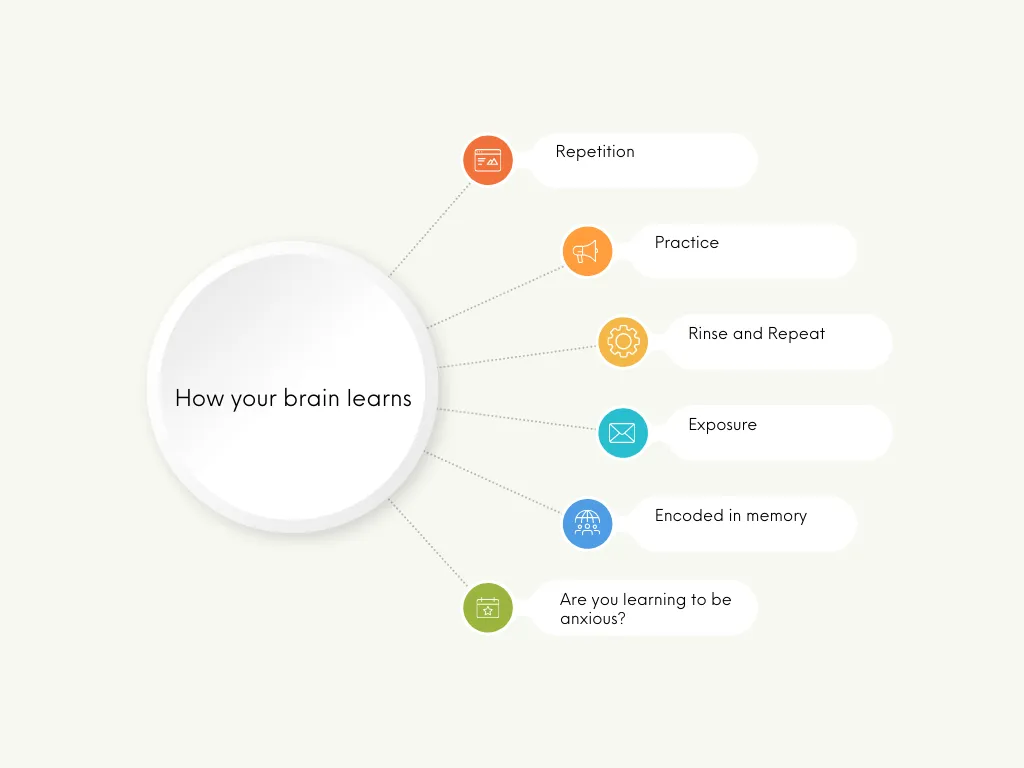 How your brain learns How your brain learns