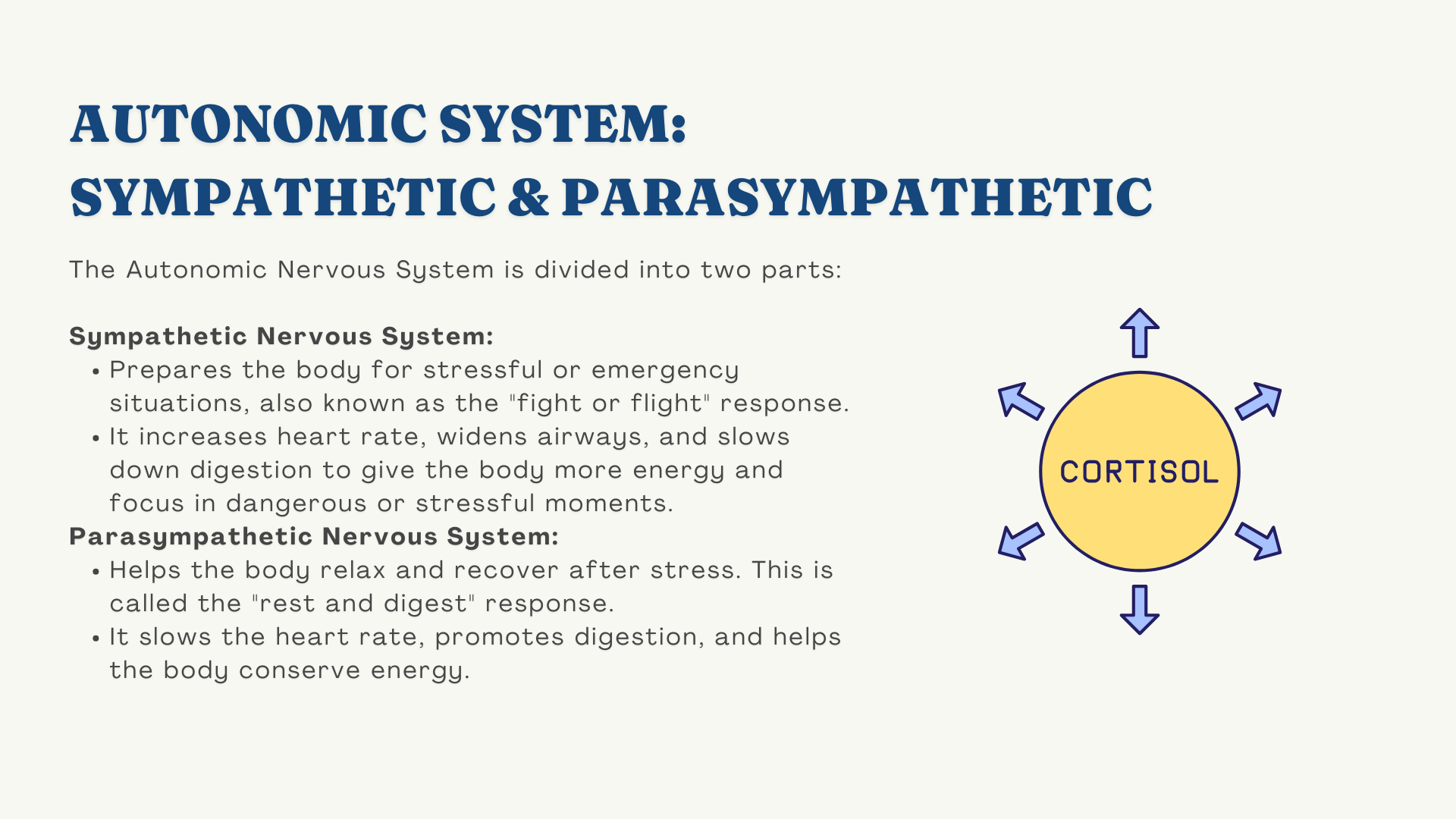 autonomic nervous system diagram showing cortisol and words explaining the autonomic nervous has two parts - the sympathetic nervous system and the parasympathetic nervous system