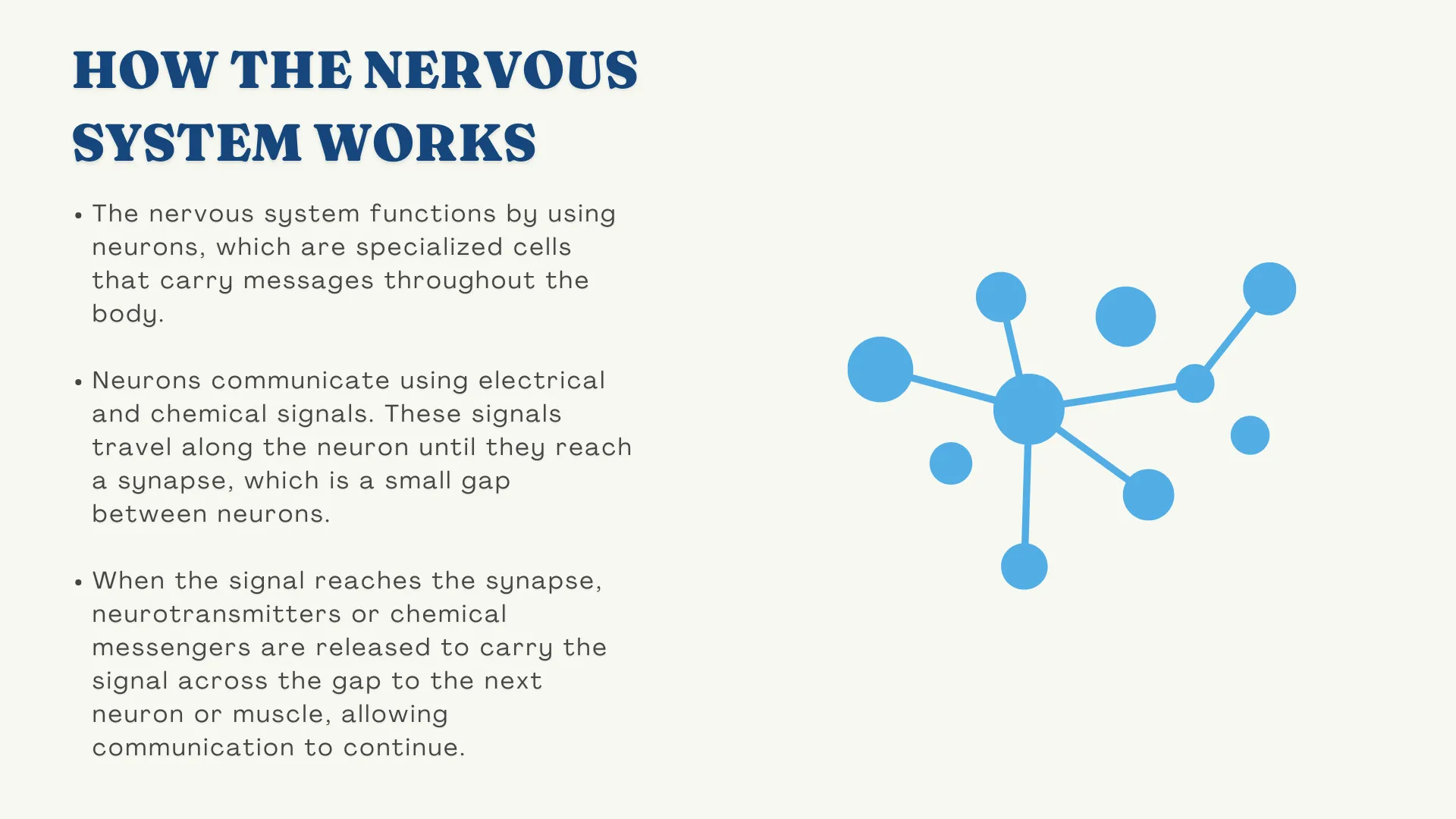 how the nervous system works image showing neurons and words explanining how nervous system works