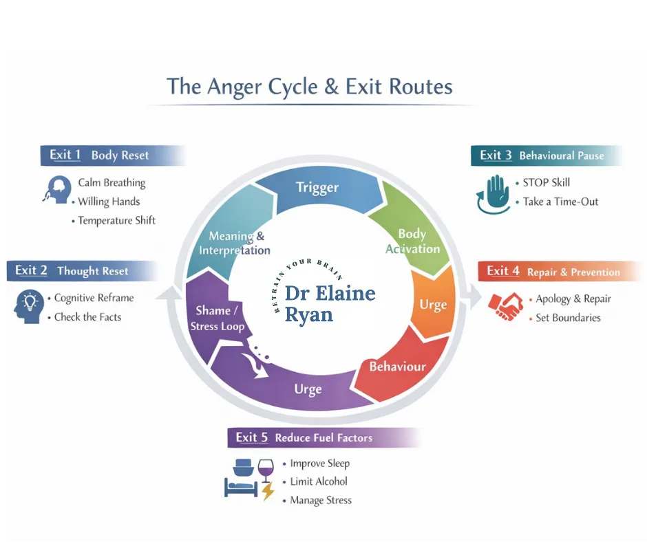 How anger management works - Anger cycleshowing trigger, escalation, crisis, recovery and where to interrupt, with Dr Elaine Ryan logo 