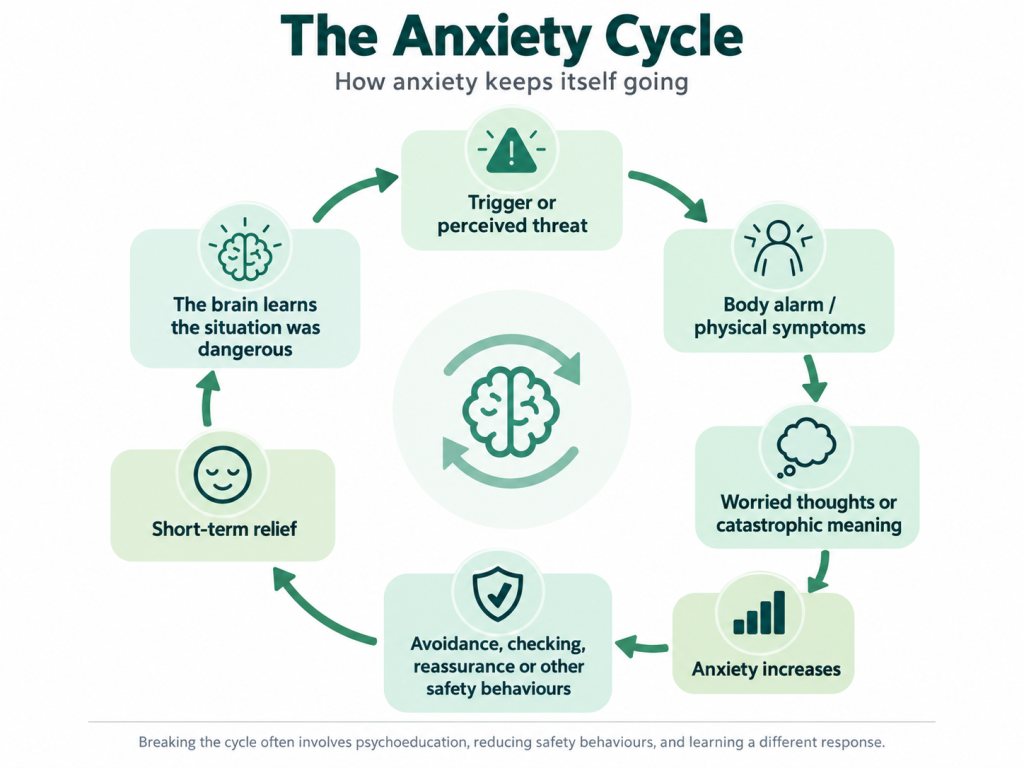 Diagram of the anxiety cycle, from perceived threat and physical sensations through worried thoughts, avoidance, short-term relief and learned danger